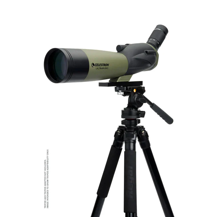 Celestron Ultima 80mm Angled Spotting Scope - Image 8