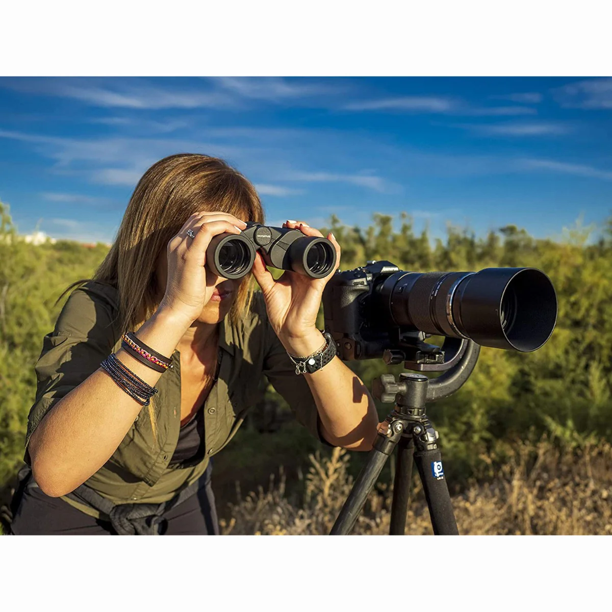 Olympus 10x50 S Binoculars - Image 3