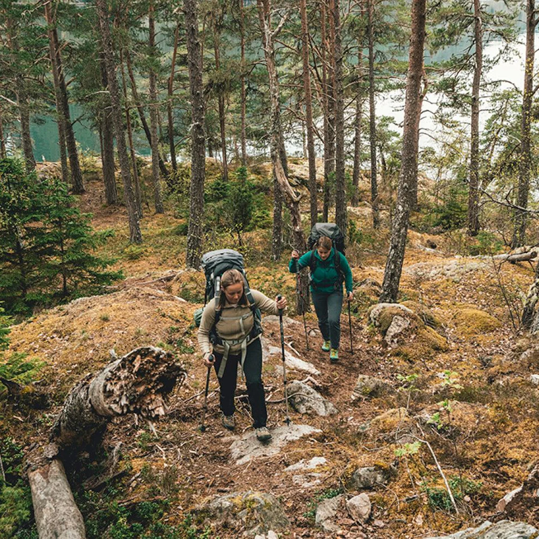 Robens Coniston T7 Walking Poles (Pair) - Image 3