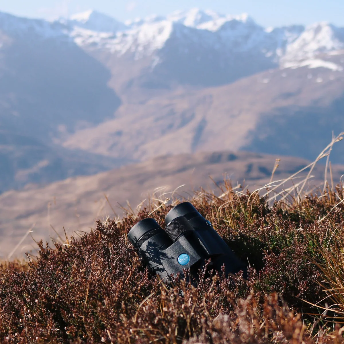 Viking Kestrel ED 8x42 Binoculars - Image 6