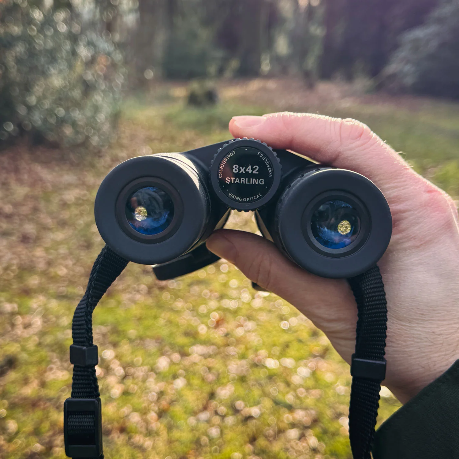 Viking Starling 8x42 Binoculars - Image 15